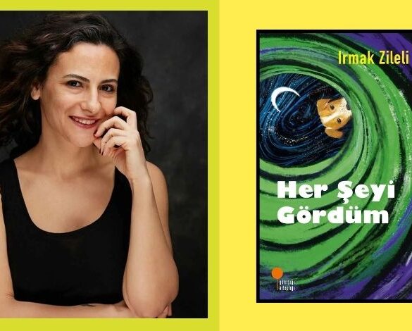 Irmak Zileli'nin 'Her Şeyi Gördüm' romanının kapak görseli