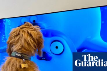 Evcil hayvanların televizyonda Sealook çizgi dizisini izlerken gösterdiği yoğun ilgi