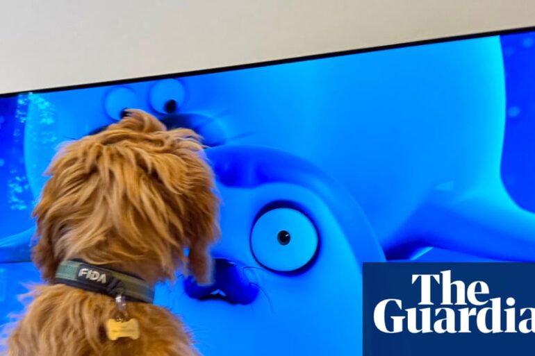 Evcil hayvanların televizyonda Sealook çizgi dizisini izlerken gösterdiği yoğun ilgi